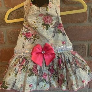 Beautiful custom made doggie dress, fits 5-7 lb dog